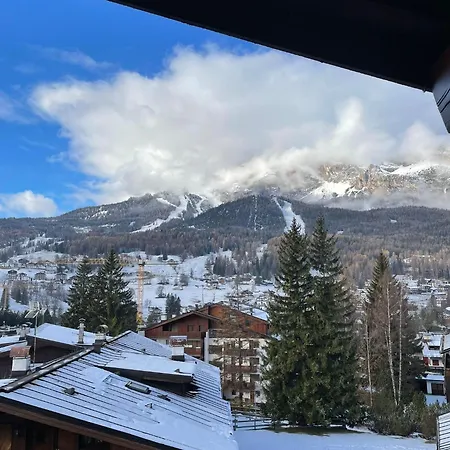 Cortina Beautiful *