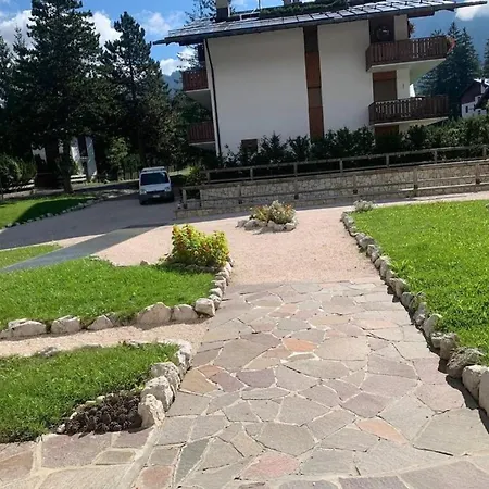 Cortina Beautiful *
